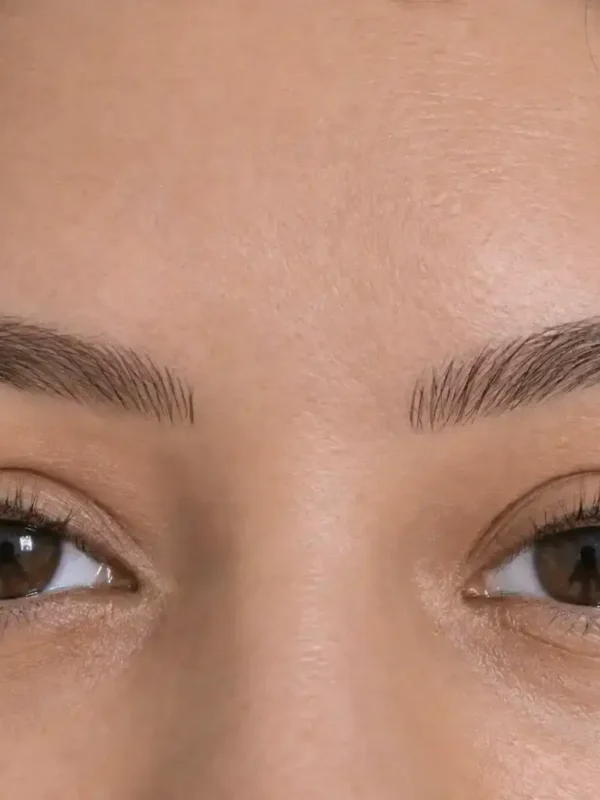 Healed bold powder brows, after
